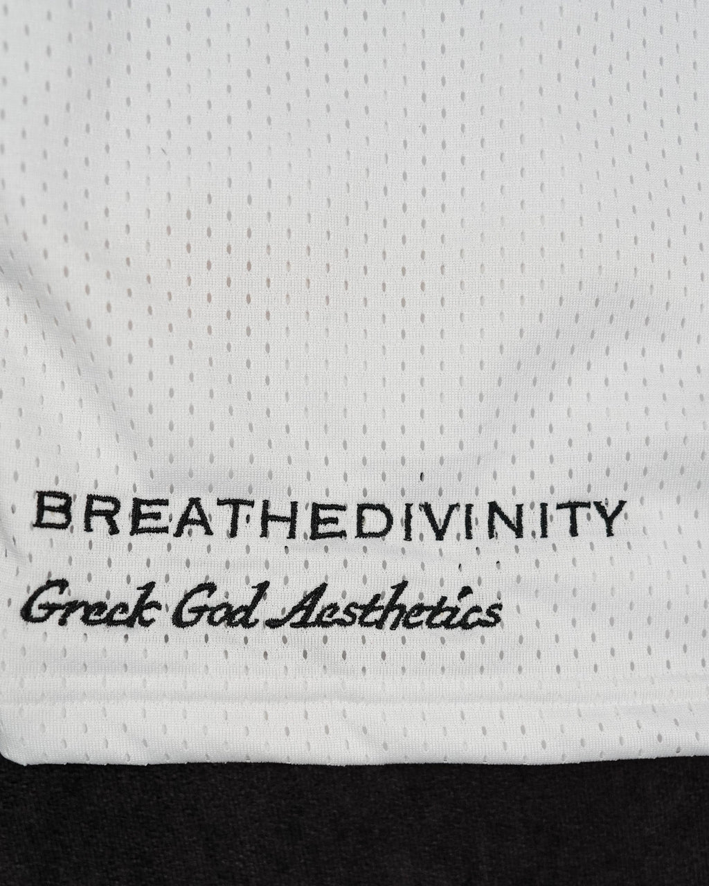 Skeletal Embroidered Bodybuilding mesh shorts [DIVINE WHITE]