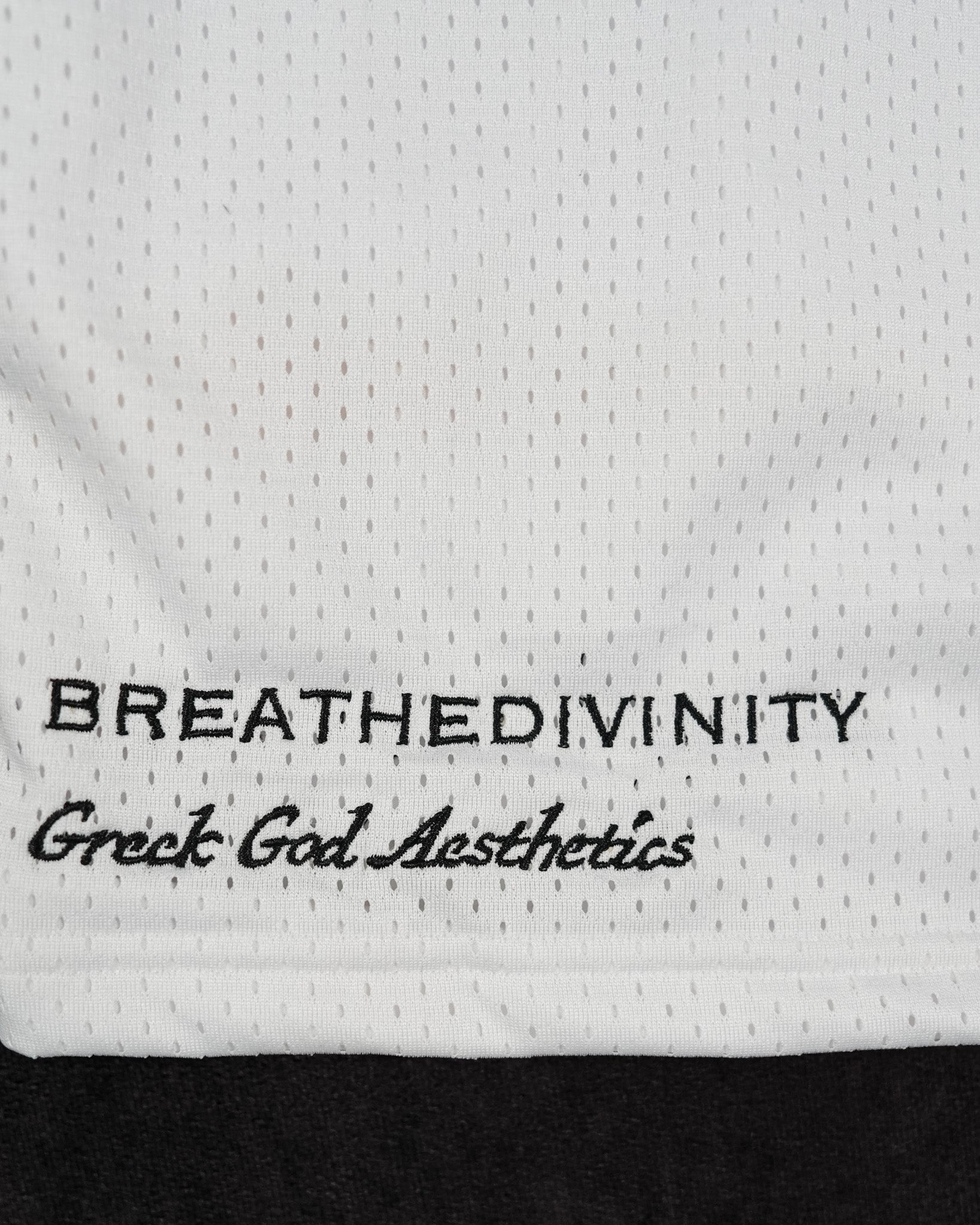 Skeletal Embroidered Bodybuilding mesh shorts [DIVINE WHITE]